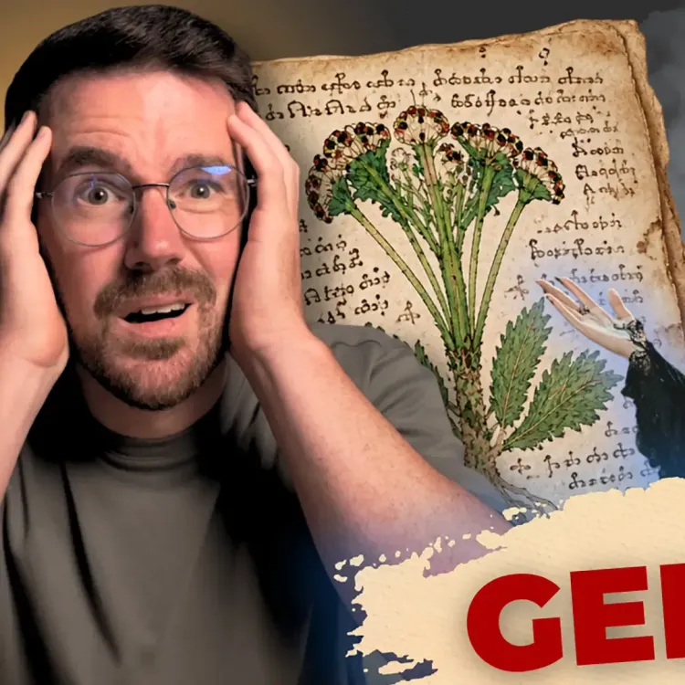 Voynich-Manuskript entschlüsselt – von TIKTOK HEXEN?!