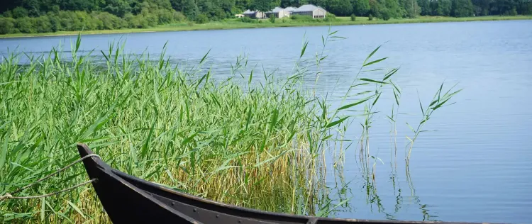 Frühjahrsmarkt im Wikingermuseum Haithabu 2026